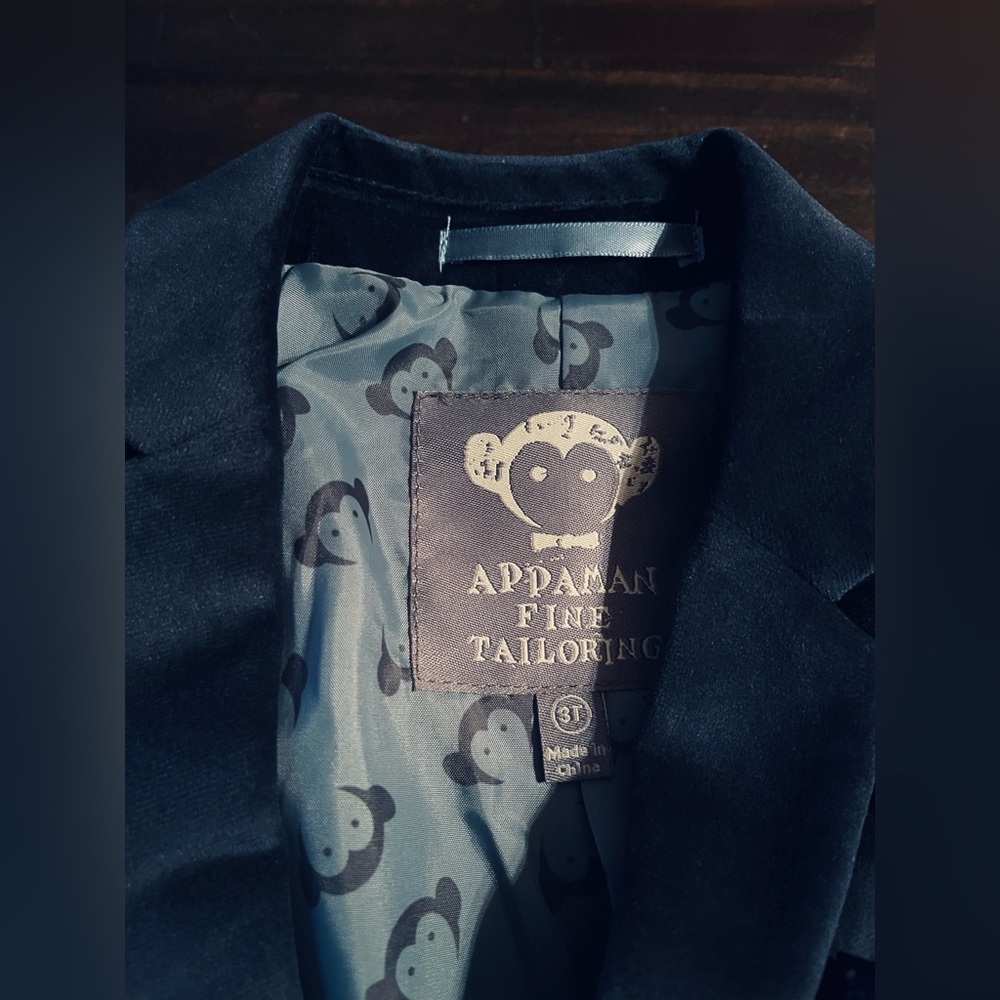 Appaman Elegant Navy Blue Velvet Suit 3T - Picture 13 of 16